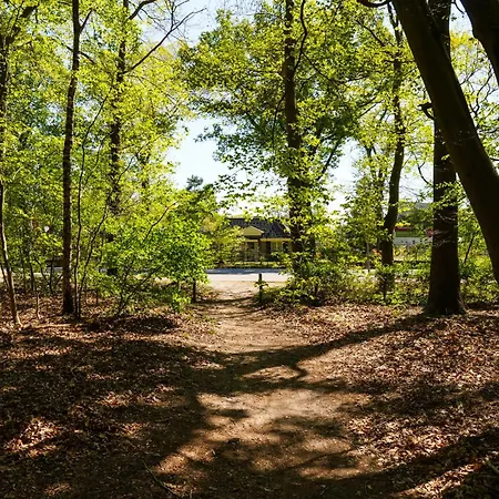 De Ijsvogel - Het Echte Veluwegevoel Resort Voorthuizen