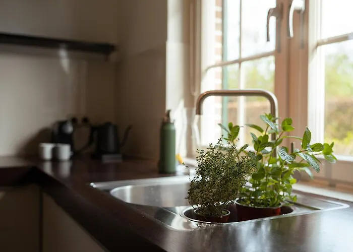 De Ijsvogel - Het Echte Veluwegevoel